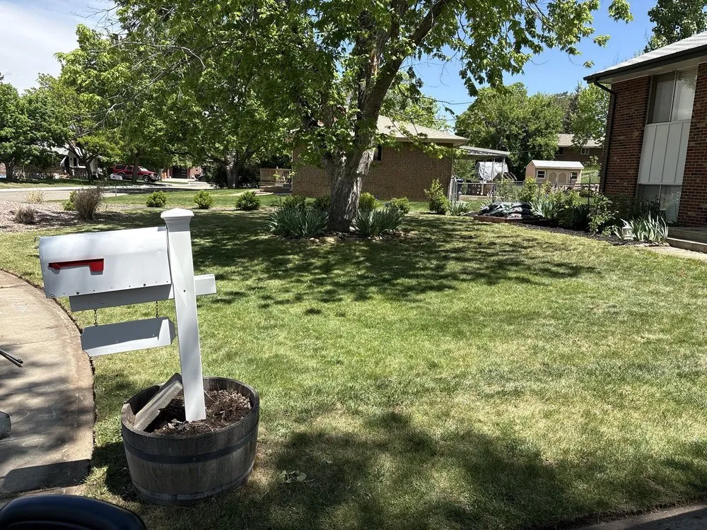 Custom lawn mowing service experts serving Broomfield, CO - McCallum Home Works