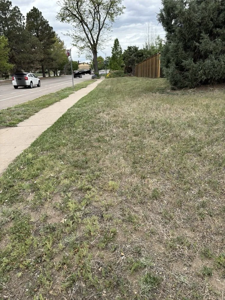 Top-rated yard maintenance for homes in Broomfield, CO by McCallum Home Works