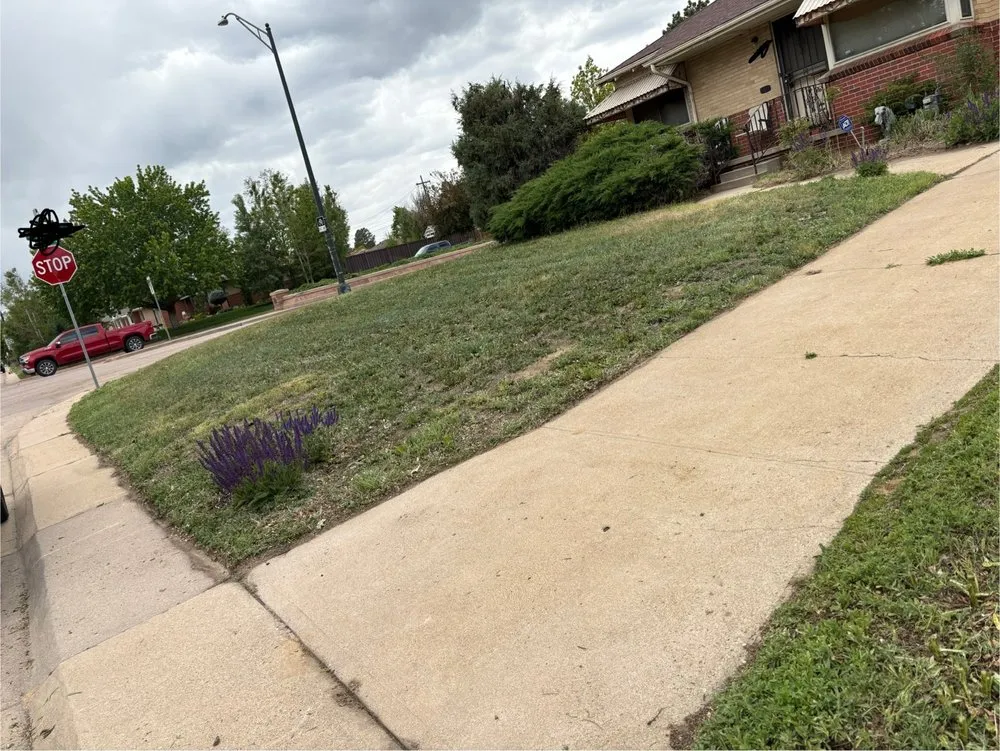 Top-rated outdoor landscaping in Broomfield, CO - McCallum Home Works