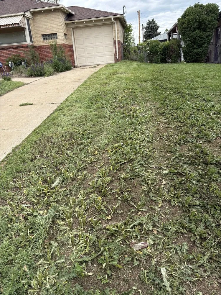 Expert landscaping services experts serving Broomfield, CO - McCallum Home Works