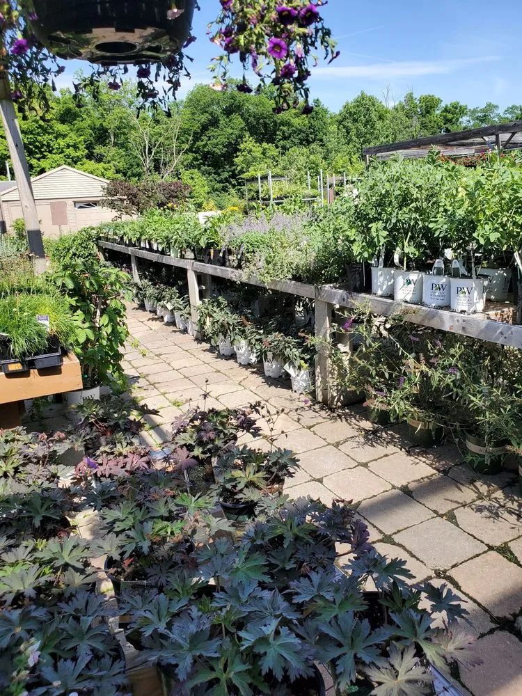 Local landscaping services experts serving Brownsburg, IN - McCammon's Irish Market Brownsburg