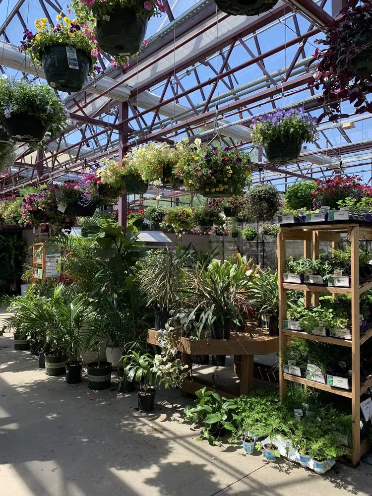 Top-rated outdoor landscaping experts serving Brownsburg, IN - McCammon's Irish Market Brownsburg