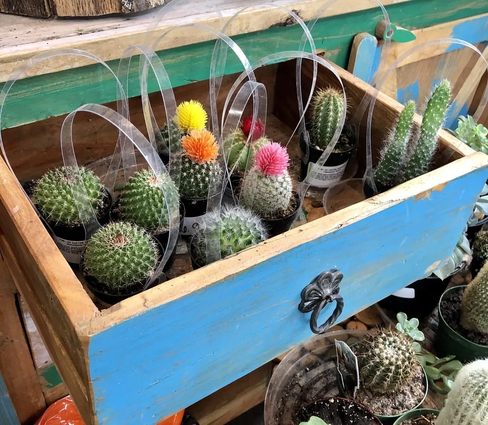 Affordable garden landscaping with custom design in Brownsburg, IN by McCammon's Irish Market Brownsburg