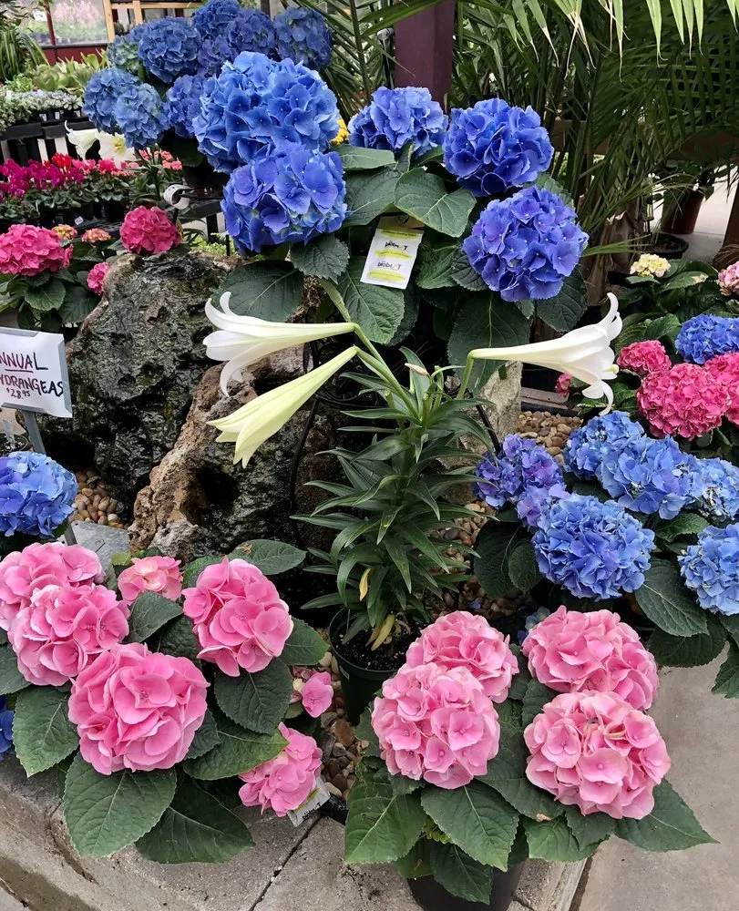 Expert landscape installation for beautiful yards across Brownsburg, IN - McCammon's Irish Market Brownsburg