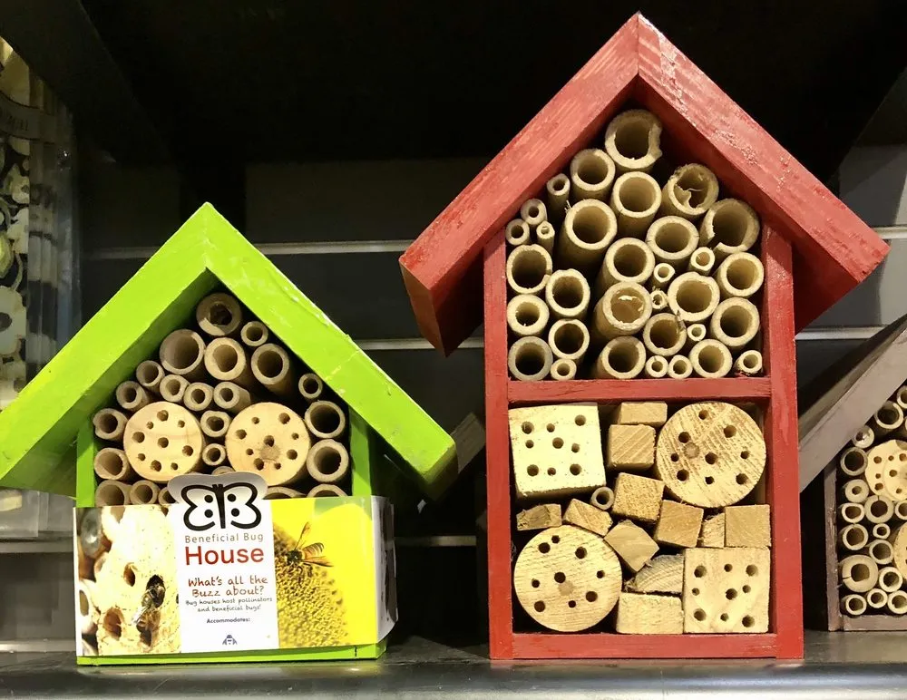 Professional yard cleanup service with custom design across Brownsburg, IN - McCammon's Irish Market Brownsburg