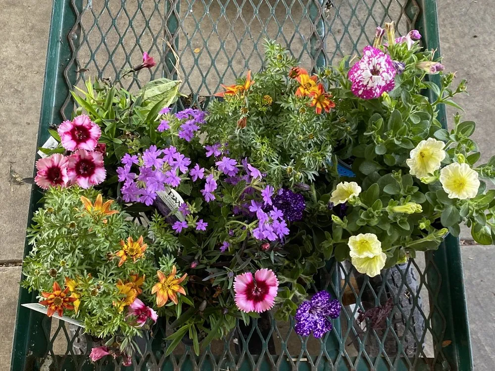 Custom yard maintenance experts serving Greenwood, IN - McCammon's Irish Market