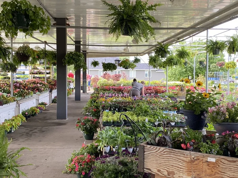 Custom yard cleanup service in Greenwood, IN - McCammon's Irish Market