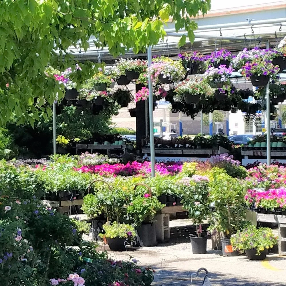 Reliable yard cleanup service experts serving Greenwood, IN - McCammon's Irish Market