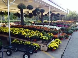 Reliable garden landscaping in Greenwood, IN - McCammon's Irish Market