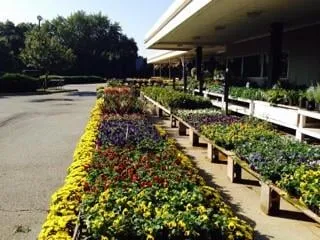 Professional yard maintenance in Greenwood, IN by McCammon's Irish Market