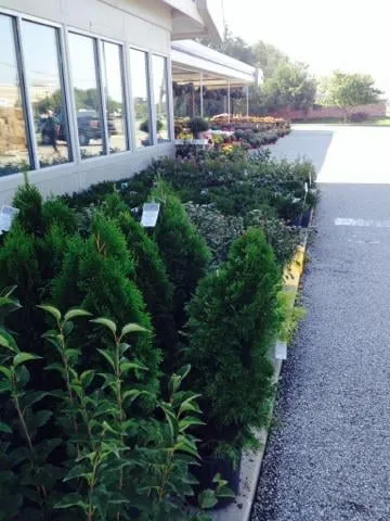 Top-rated lawn mowing service for outdoor upgrades in Greenwood, IN by McCammon's Irish Market