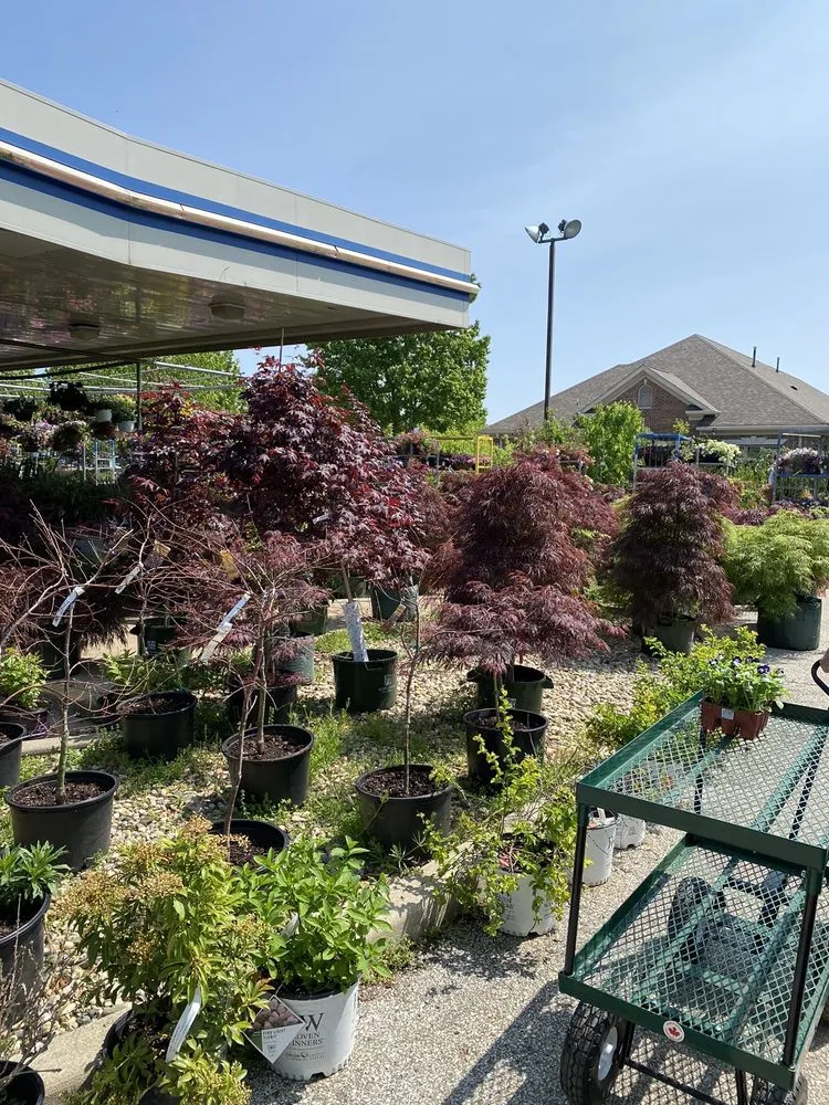 Professional landscape design in Greenwood, IN by McCammon's Irish Market