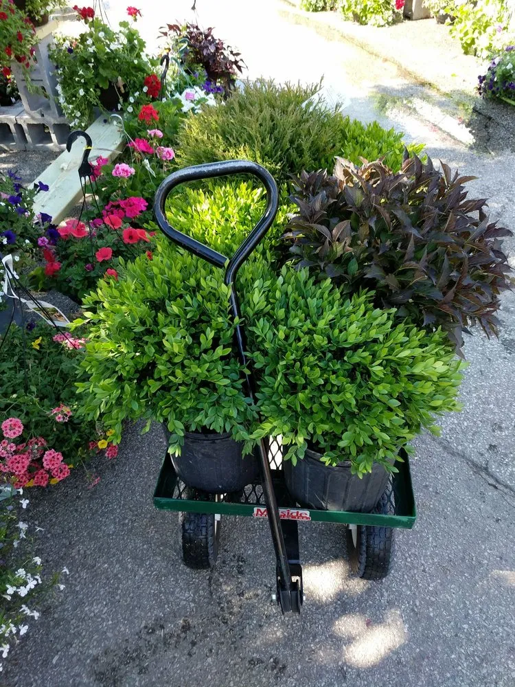 Expert landscape design for beautiful yards in Greenwood, IN by McCammon's Irish Market