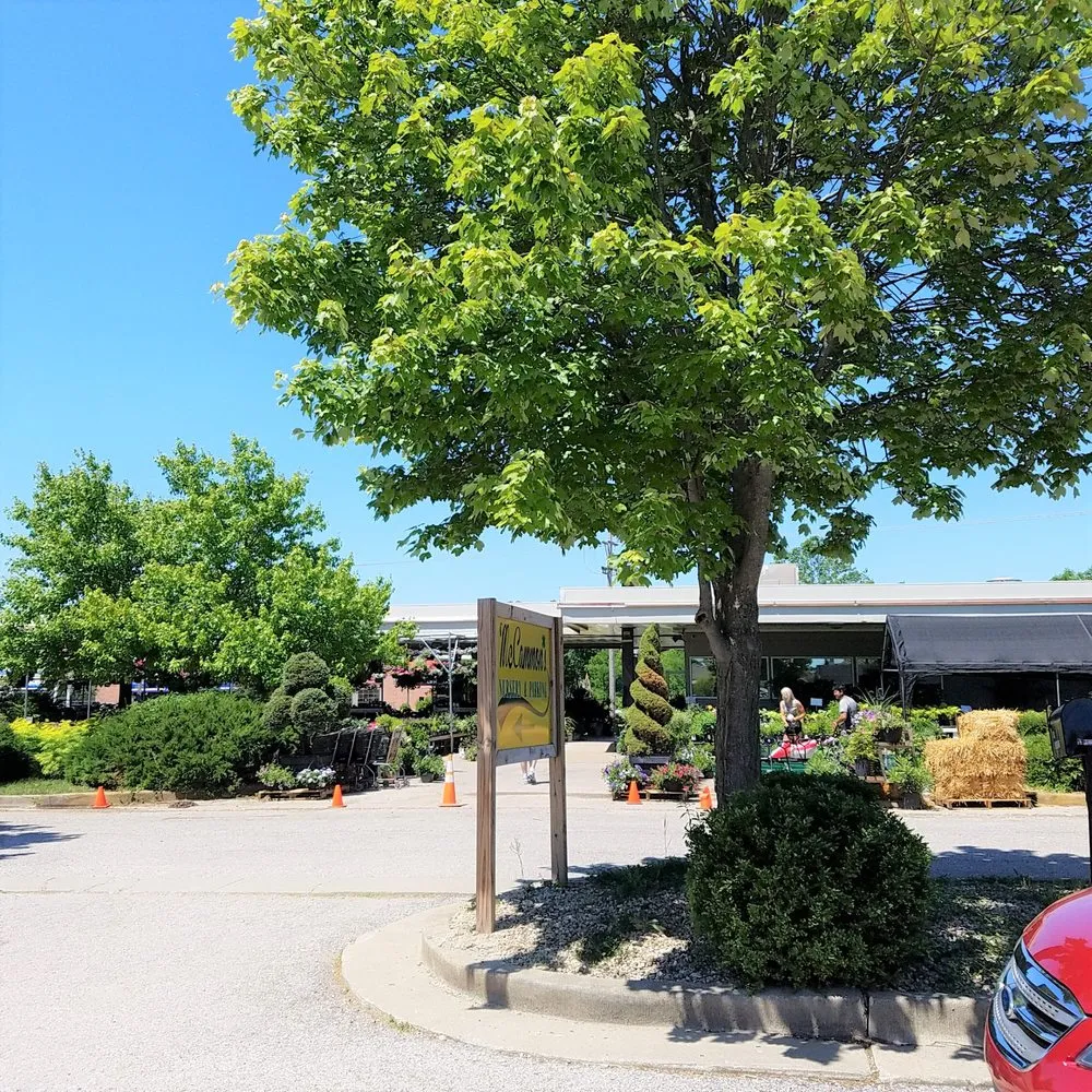Local landscaping services in Greenwood, IN by McCammon's Irish Market