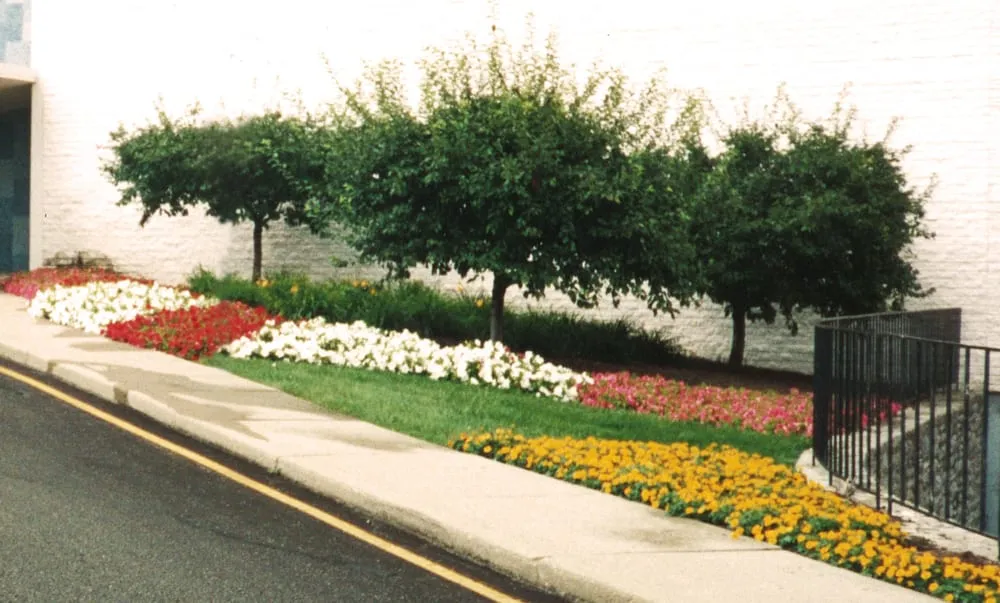 Professional yard cleanup service for beautiful yards across Greenwood, IN - McCammon's Irish Market