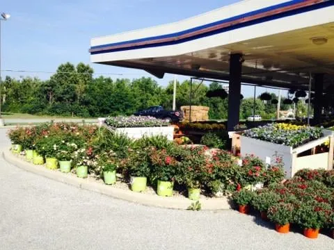 Custom yard cleanup service near you across Greenwood, IN - McCammon's Irish Market