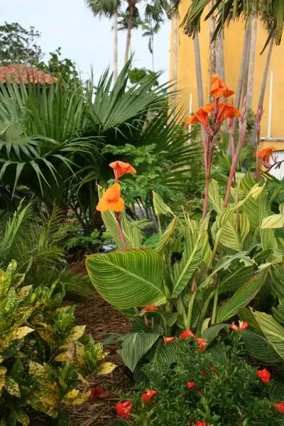 Affordable residential landscaping for residential properties in Saint Paul, MN by McCaren Designs