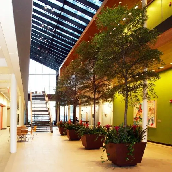 Reliable yard maintenance in Saint Paul, MN - McCaren Designs