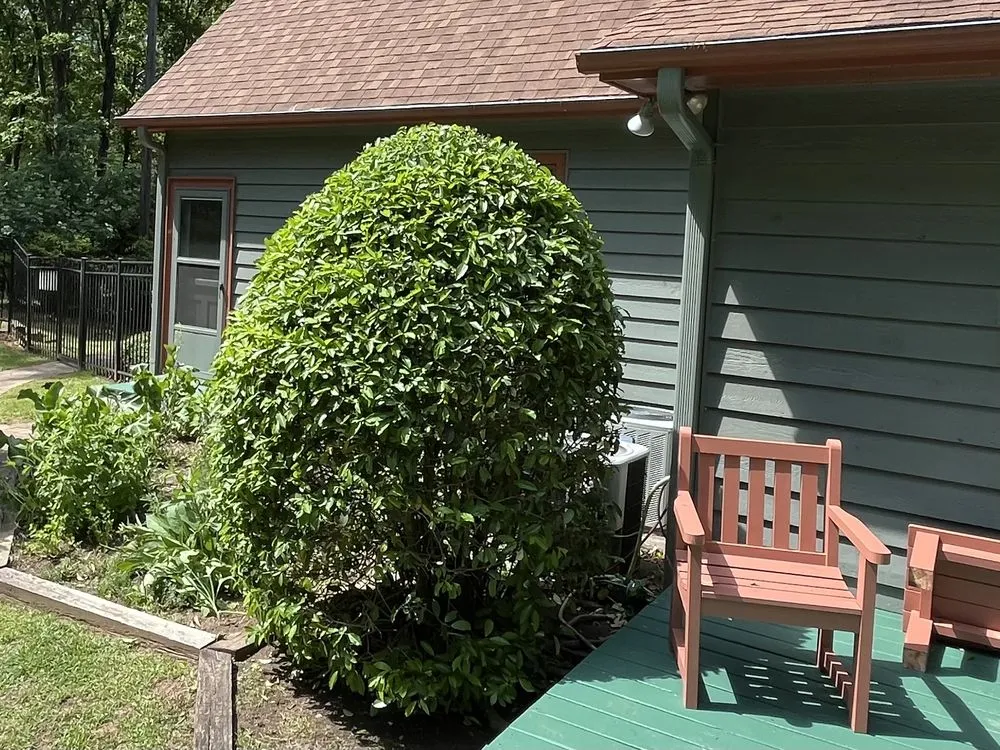 Reliable lawn mowing service for beautiful yards across Greer, SC - McCarter Landscaping & Pressure Washing