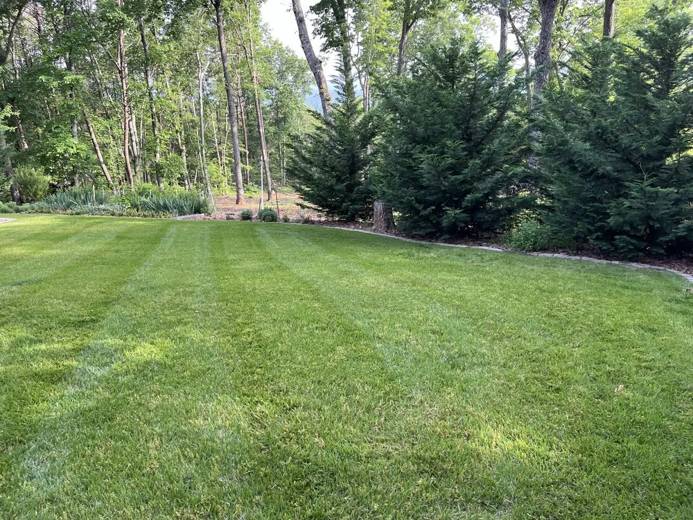 Trusted landscape installation in Greer, SC by McCarter Landscaping & Pressure Washing