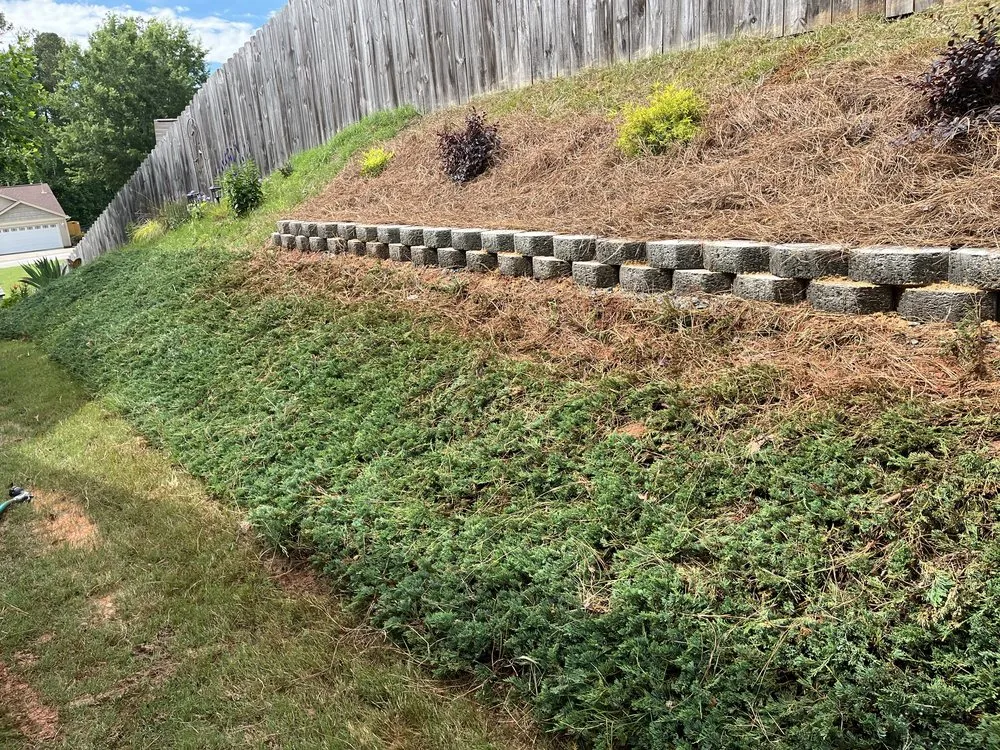 Expert yard cleanup service near you across Greer, SC - McCarter Landscaping & Pressure Washing