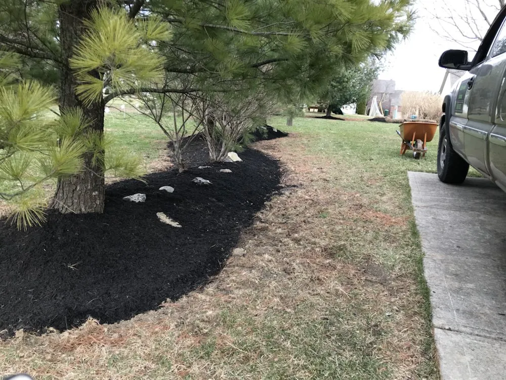 Affordable lawn mowing service for outdoor upgrades in Dublin, OH by McCarthy Lawn And Landscape