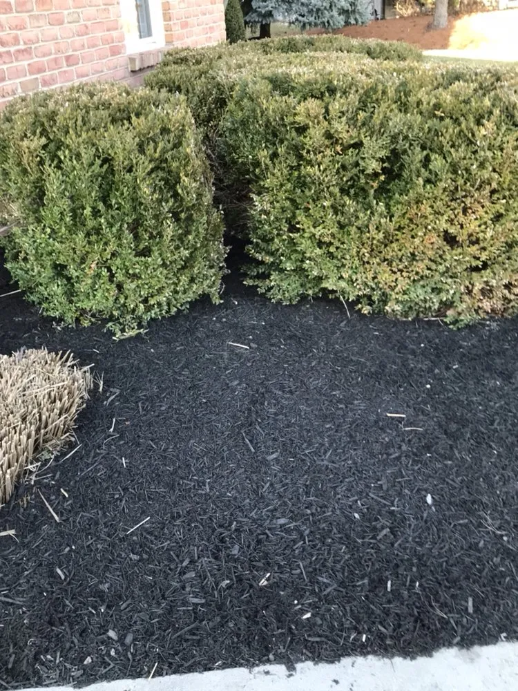 Custom outdoor landscaping for outdoor upgrades across Dublin, OH - McCarthy Lawn And Landscape