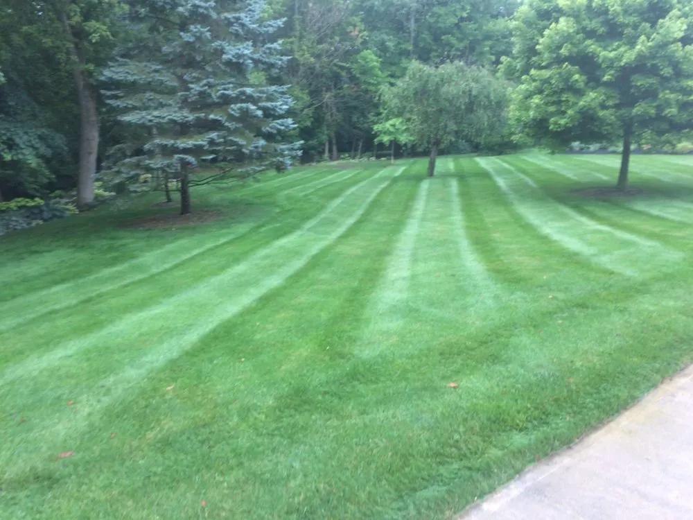 Top-rated outdoor landscaping for year-round maintenance across Dublin, OH - McCarthy Lawn And Landscape