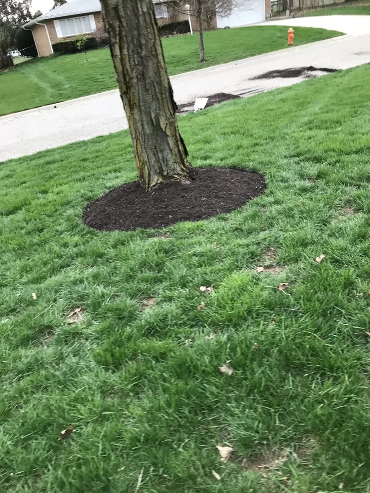 Expert outdoor landscaping for beautiful yards in Dublin, OH by McCarthy Lawn And Landscape