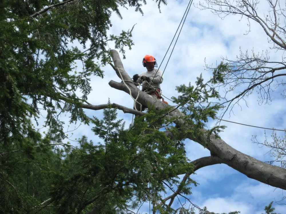 Custom landscaping services near you across Portland, ME - McCarthy Tree Service