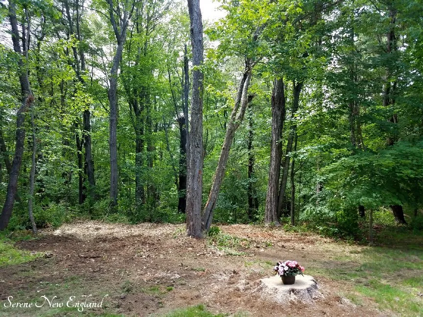 Professional residential landscaping in Portland, ME - McCarthy Tree Service