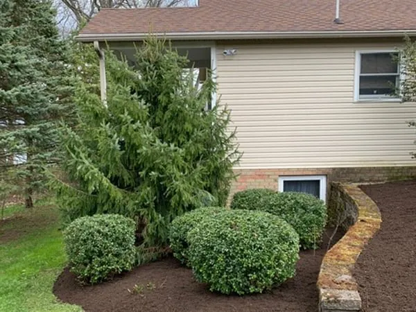Top-rated yard cleanup service with custom design in Penn Yan, NY by McCarthy's LCS Lawn & Landscape
