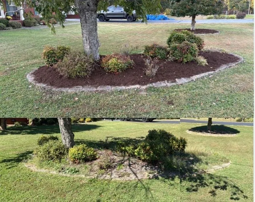 Expert yard cleanup service for beautiful yards in Murray, KY by McCartney Mulching & Landscaping
