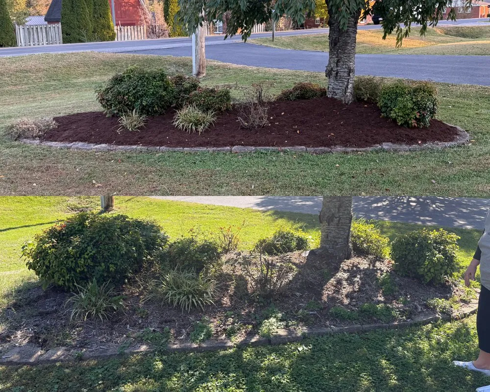 Local outdoor landscaping for beautiful yards in Murray, KY by McCartney Mulching & Landscaping