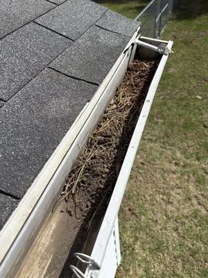 McCarty Lawn Service