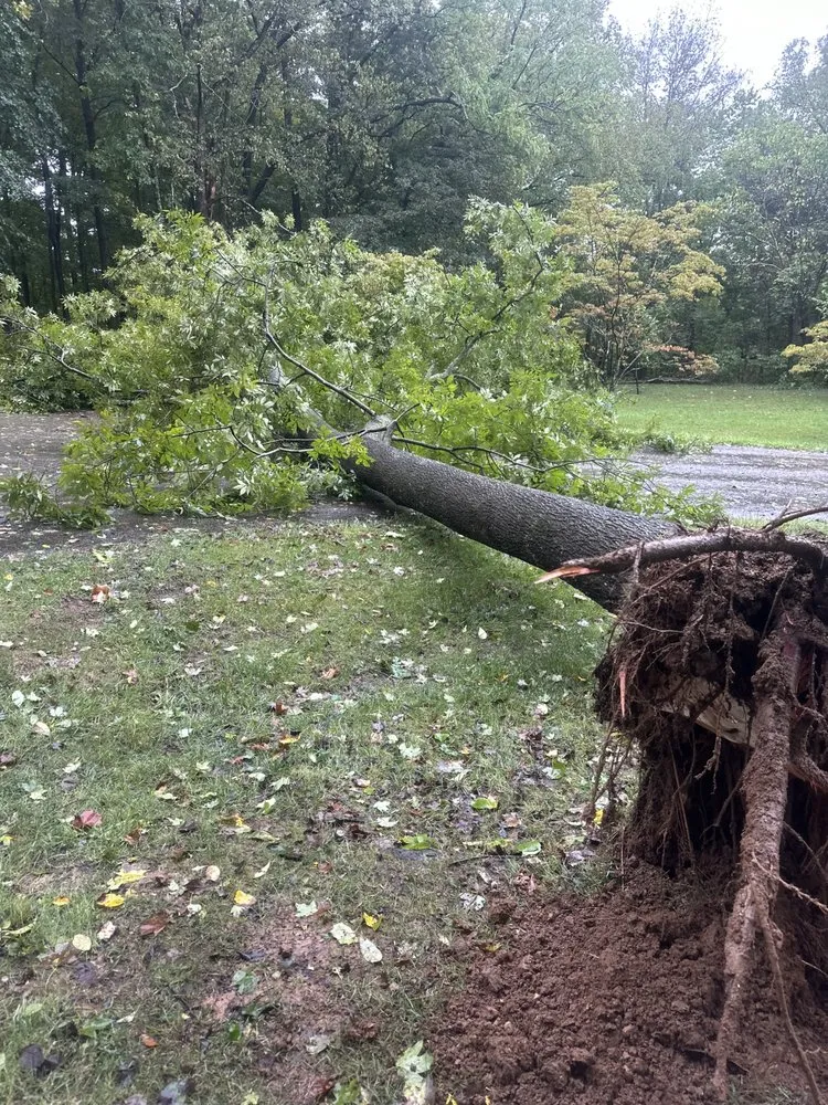 Local residential landscaping in Louisville, KY - McCarty Lawncare