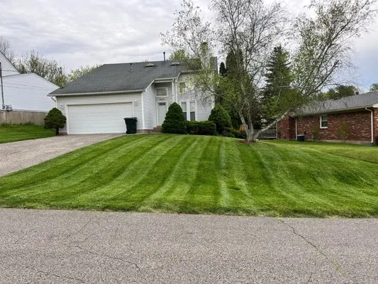 McCarty Lawncare Logo