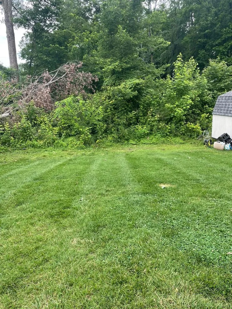 Affordable yard maintenance for homes across Owensboro, KY - Mccarty Mowing
