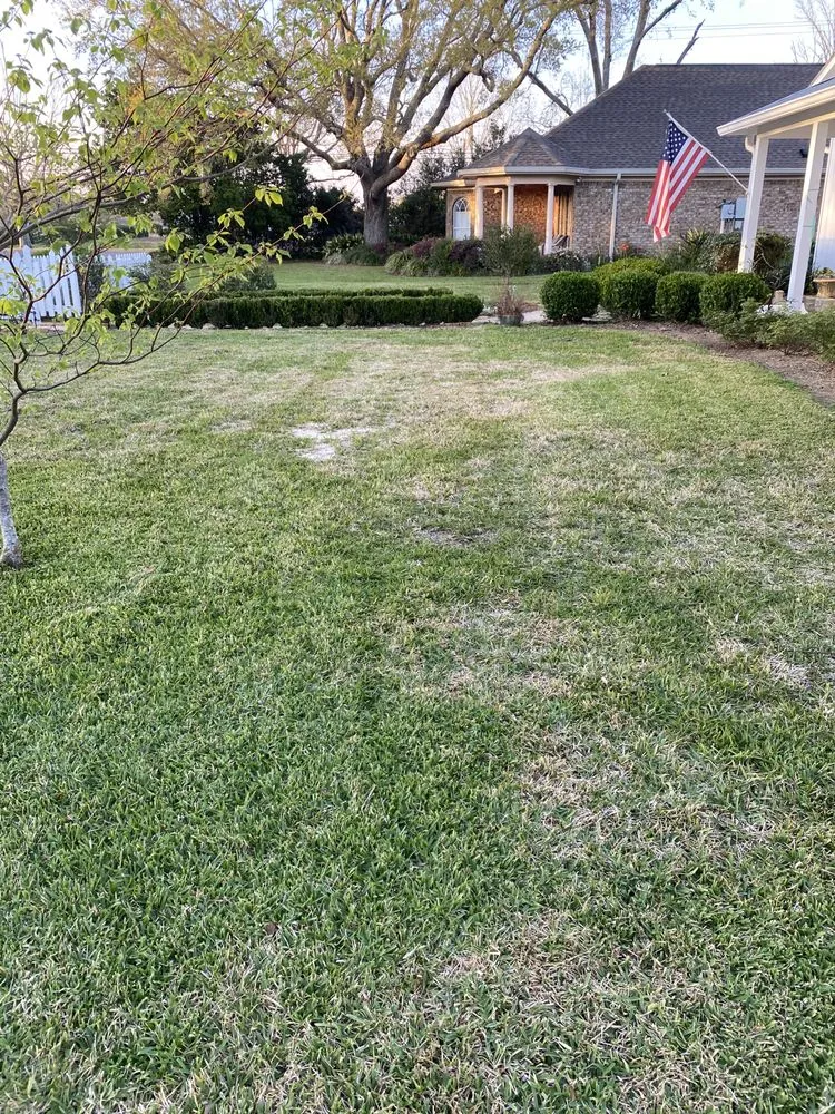 Affordable yard cleanup service near you in Fairhope, AL by Mccary’s Lawncare Service