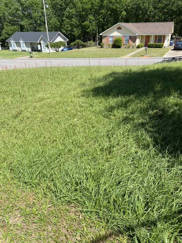 Custom lawn mowing service for beautiful yards across Fairhope, AL - Mccary’s Lawncare Service