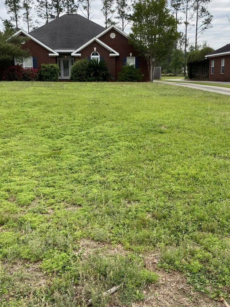 Custom garden landscaping experts serving Fairhope, AL - Mccary’s Lawncare Service