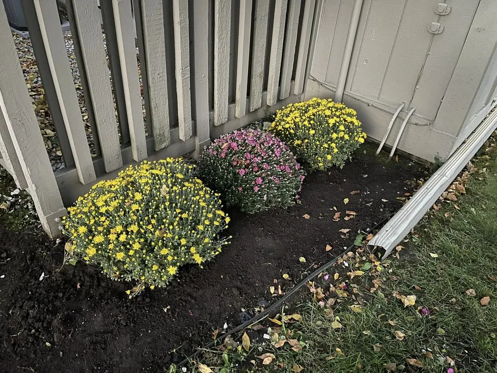 Top-rated lawn mowing service for beautiful yards across Bay City, MI - McCaskey & Sons Lawn Service