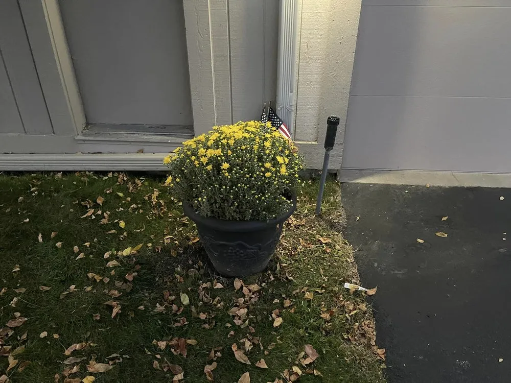 Affordable yard maintenance near you across Bay City, MI - McCaskey & Sons Lawn Service