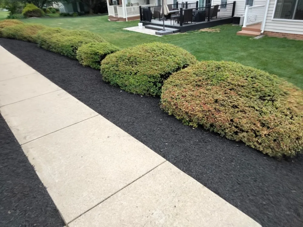 Professional lawn care service in Columbia, PA by McCauley Brothers Landscaping