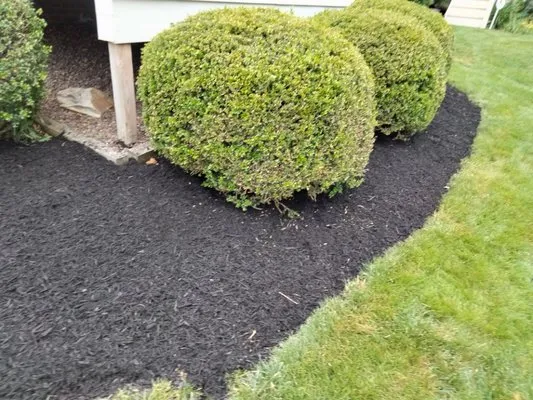 McCauley Brothers Landscaping Logo