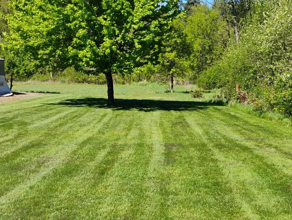 Expert outdoor landscaping in Yelm, WA - McClary's Lawnscapes