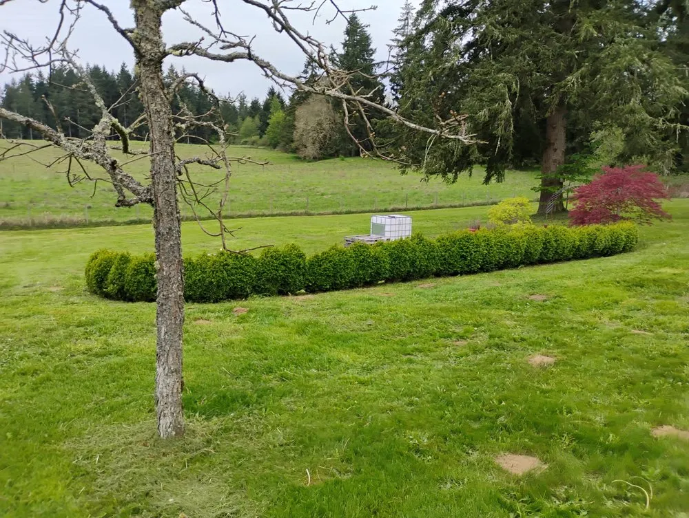 Custom residential landscaping for residential properties across Yelm, WA - McClary's Lawnscapes