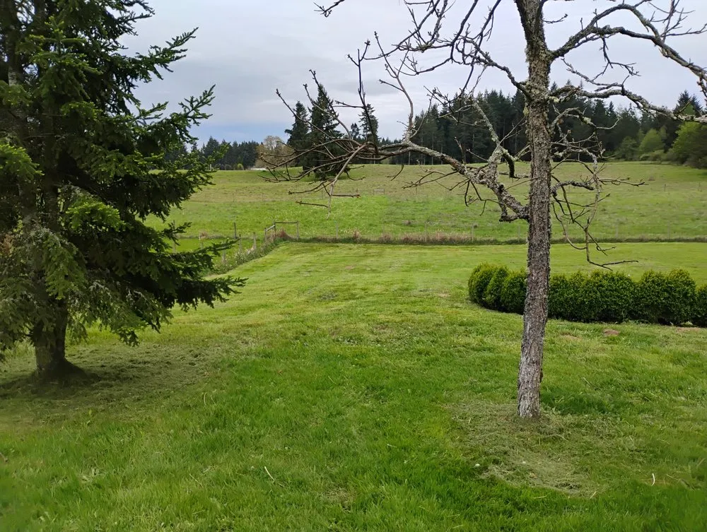 Local outdoor landscaping in Yelm, WA by McClary's Lawnscapes