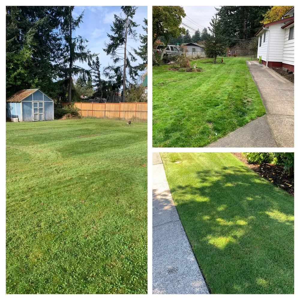 Expert landscape installation experts serving Yelm, WA - McClary's Lawnscapes
