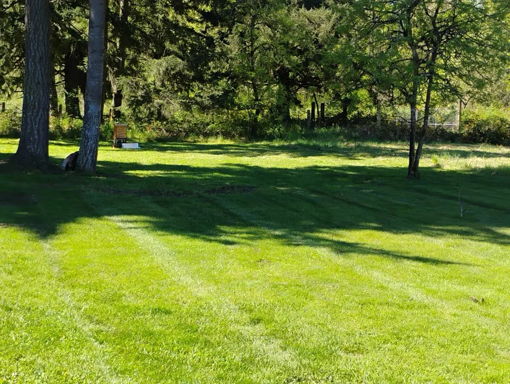 Reliable landscaping services in Yelm, WA - McClary's Lawnscapes